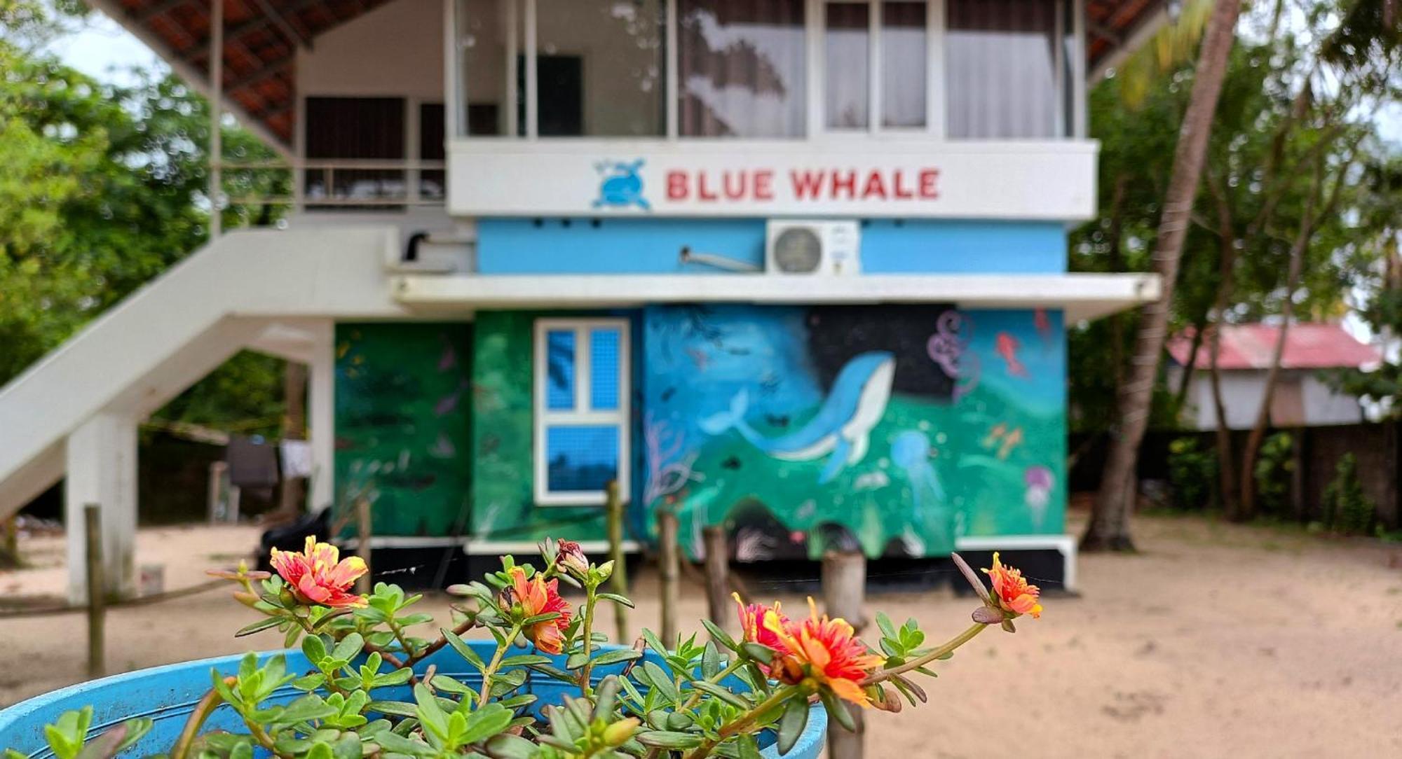 Marari Blue Whale House Bed & Breakfast *